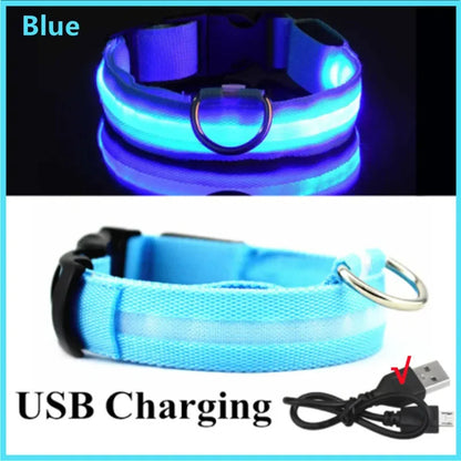LED dog collar rechargeable blue glowing in the dark