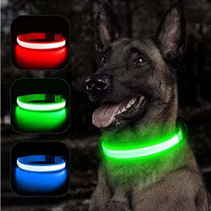  LED dog collar three lighting modes demonstration