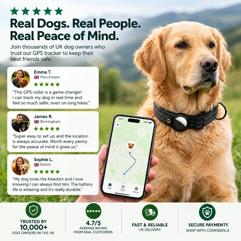 Dog collar GPS tracker with customer reviews, five-star ratings and real-time GPS tracking
