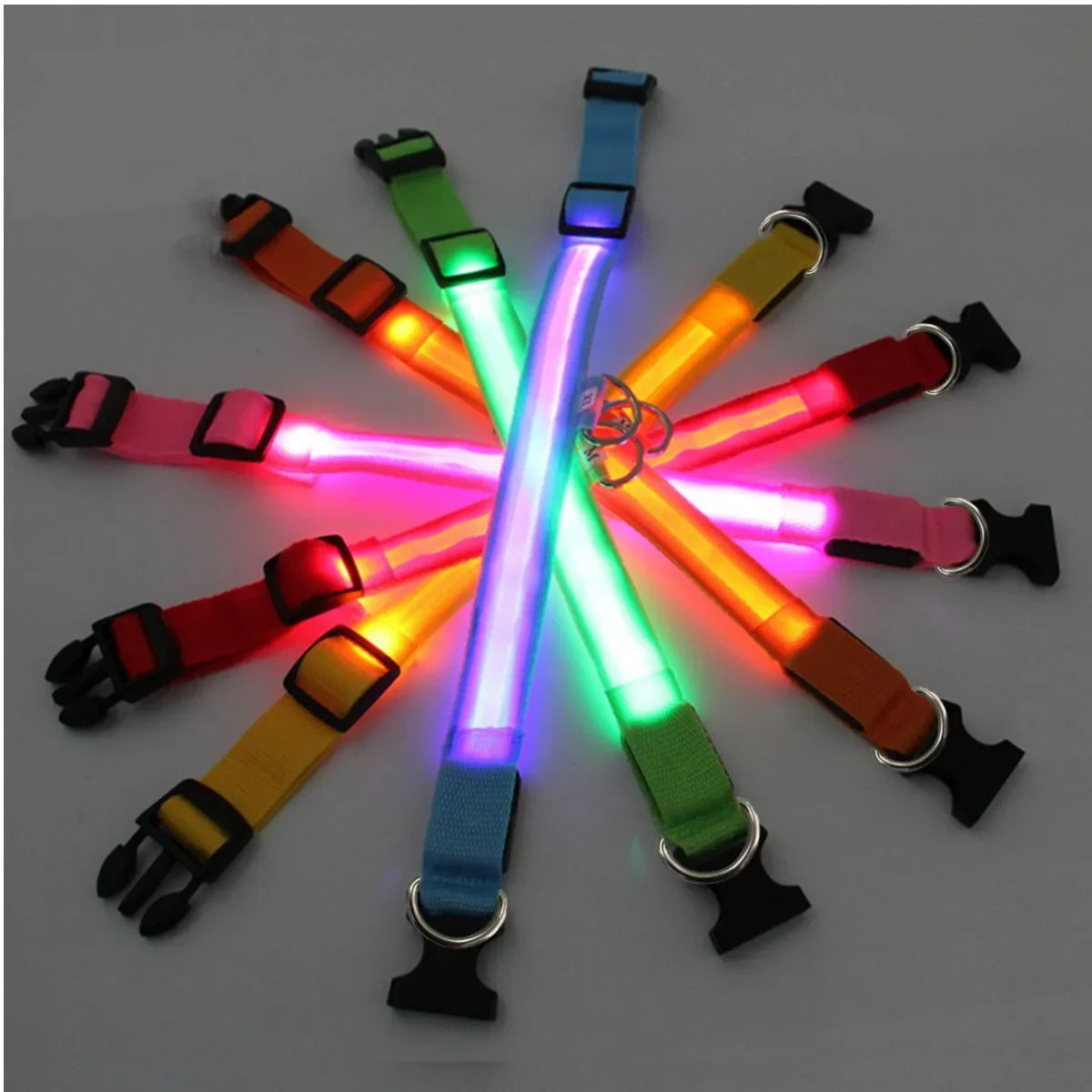 LED dog collar available in multiple colours