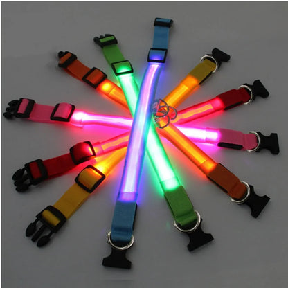 LED dog collar available in multiple colours