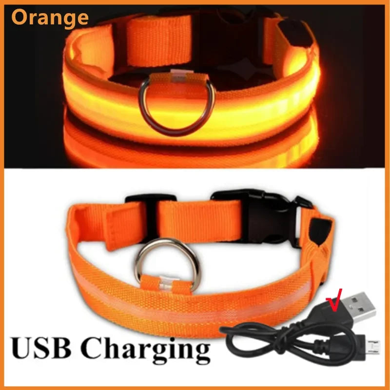 LED dog collar rechargeable orange glowing in the dark