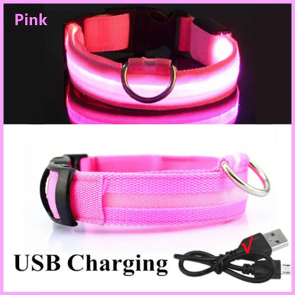 USB rechargeable dog collar with LED lights