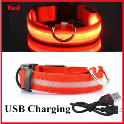 Rechargeable LED dog collar with USB charging cable