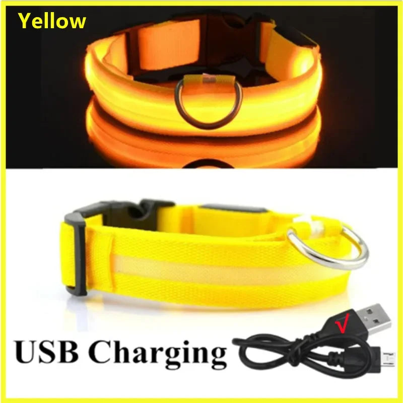 LED dog collar rechargeable yellow glowing in the dark