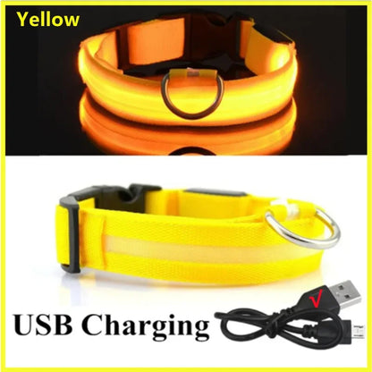 LED dog collar rechargeable yellow glowing in the dark