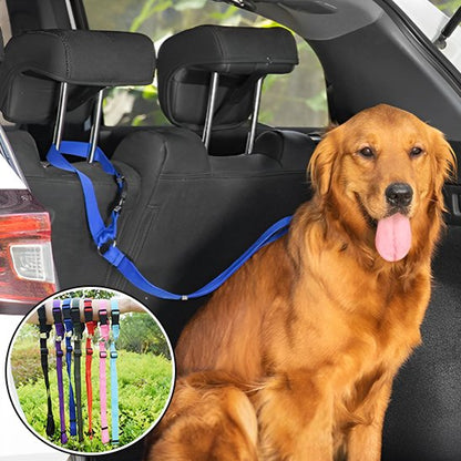 SecureRide car dog lead in army green, pink and sky blue