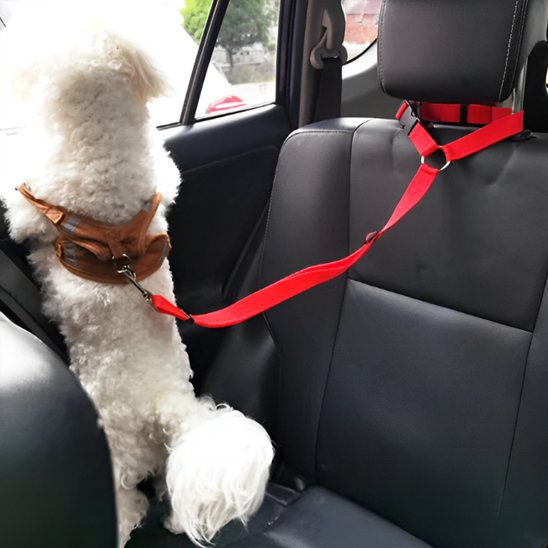 SecureRide headrest car dog lead for small dogs