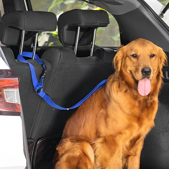 Blue SecureRide car dog lead for the car seat headrest