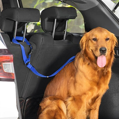 Blue SecureRide car dog lead for the car seat headrest