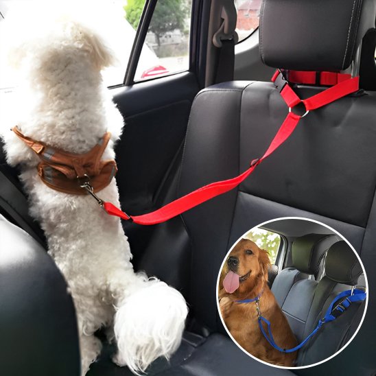 SecureRide nylon car dog lead for small dogs and cats