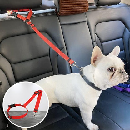 SecureRide car dog lead attached to a car headrest
