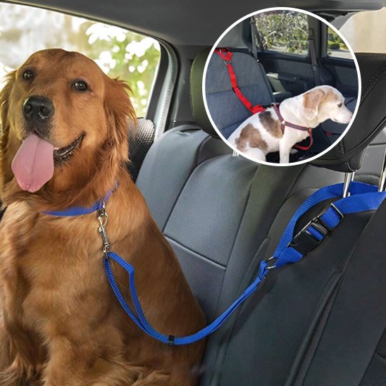 Adjustable SecureRide headrest car restraint lead