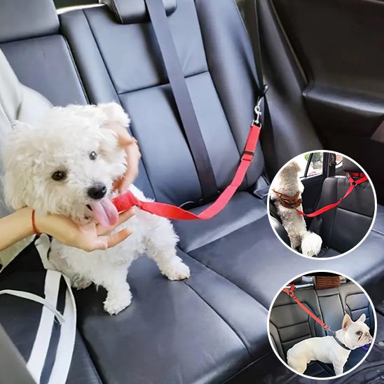 SecureRide adjustable car dog lead