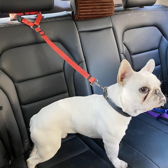 Red SecureRide car dog lead for the car seat headrest