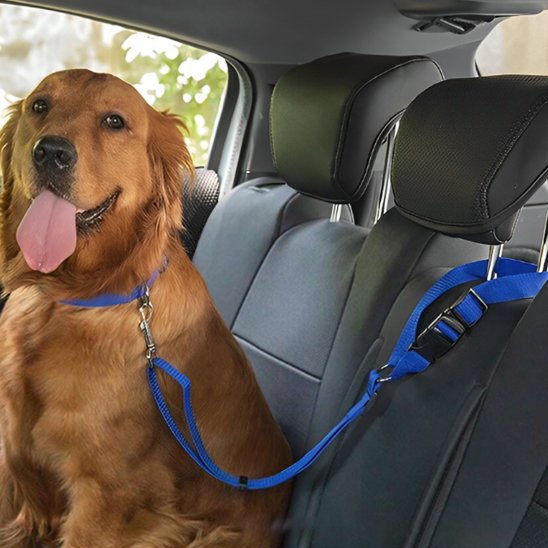 SecureRide car dog lead in a choice of colours