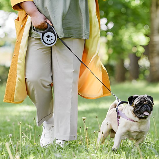 Lightweight ErgoGrip retractable dog lead