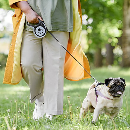 Lightweight ErgoGrip retractable dog lead