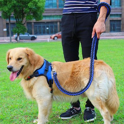 Blue braided rope dog lead with looped handle
