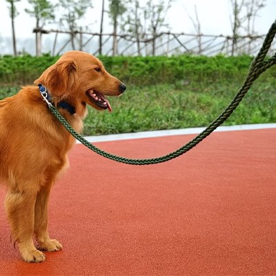 Braided rope dog lead for medium and large dogs
