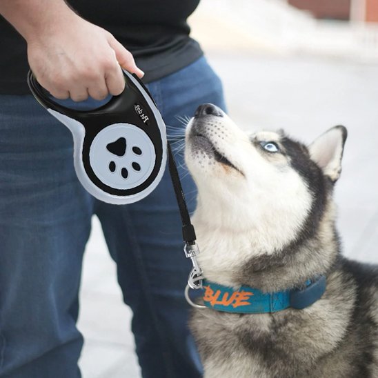 ErgoGrip retractable dog lead for park walks