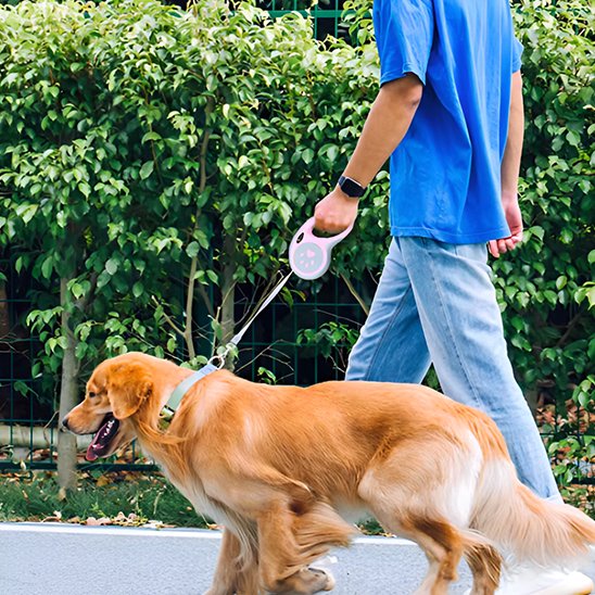 ErgoGrip retractable dog lead in a choice of colours