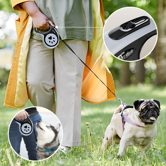 Compact retractable dog lead for small dogs