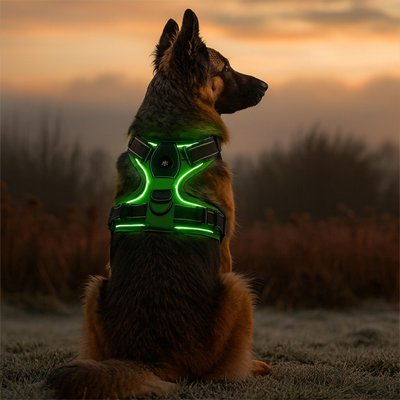 Green LED dog harness with padded chest plate