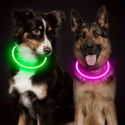 led dog collar different colours for dogs