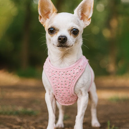 Pink rhinestone small dog harness with polka dots and bow