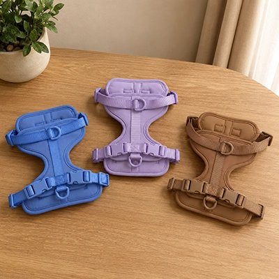 Purple no pull harness with front and back clip