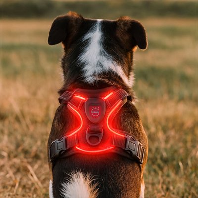 Red LED dog harness with reflective strips