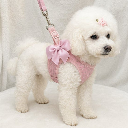White toy poodle on a walk in a sparkle small dog harness